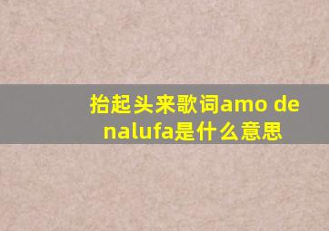 抬起头来歌词amo de nalufa是什么意思